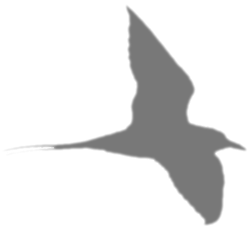 Sterna Aircraft
